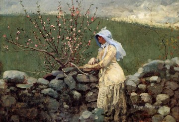  blossom Canvas - Peach Blossoms2 Realism painter Winslow Homer